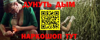 гашик Брянск