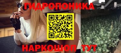 мяу мяу мука Братск