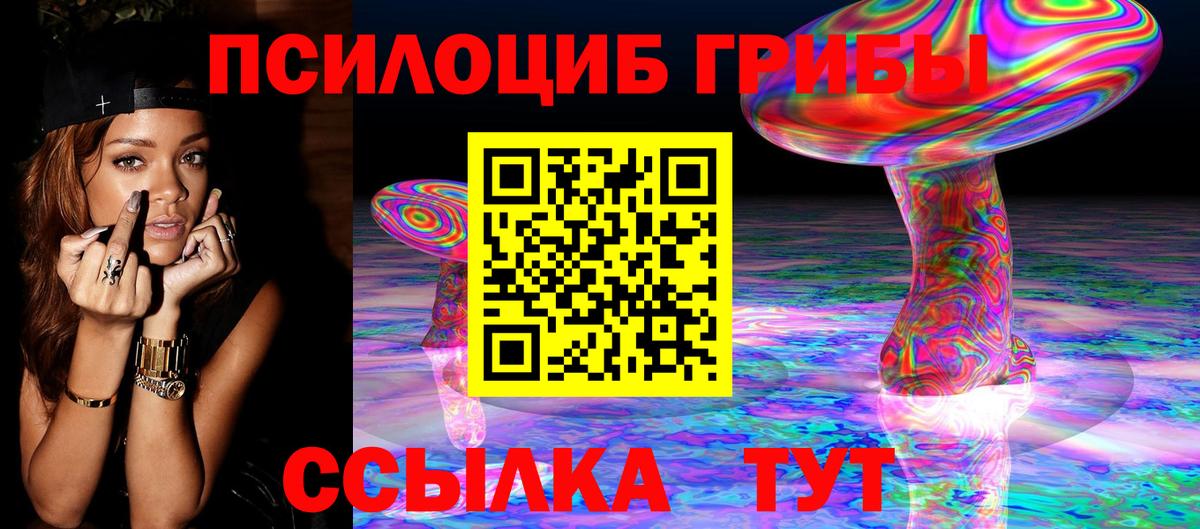как найти закладки  Псилоцибиновые грибы Cubensis  Галлюциногенные грибы MAGIC MUSHROOMS  Вход с VPN  Карачаевск 