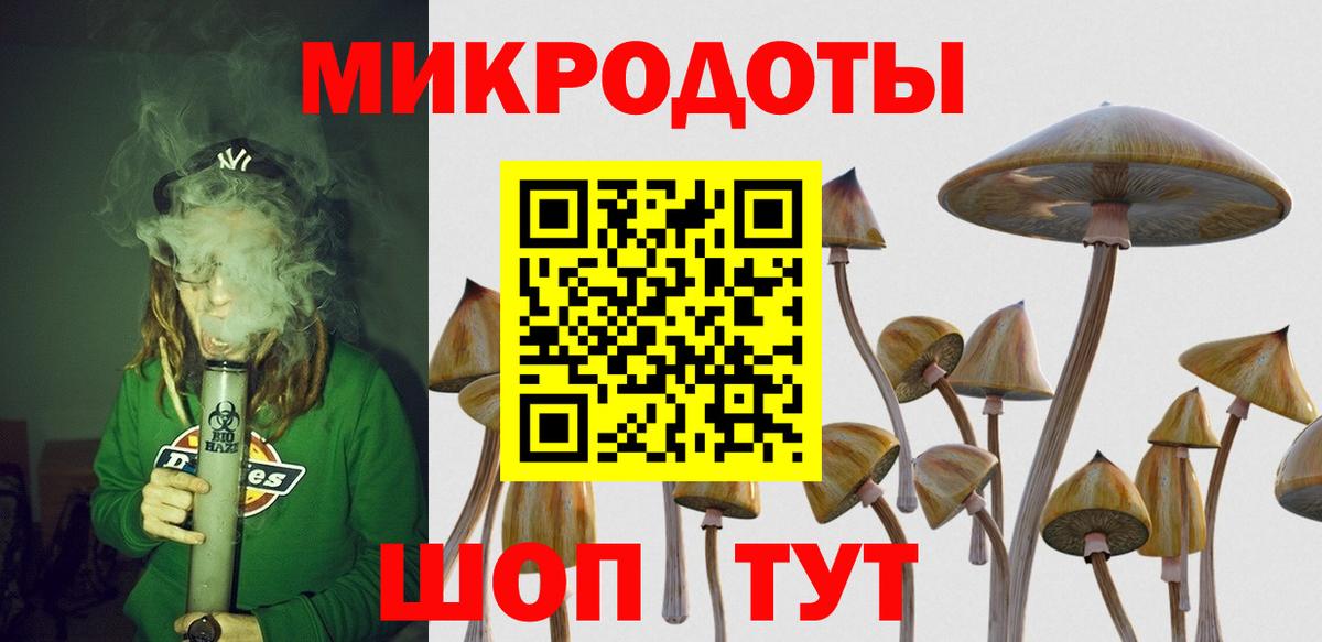 Галлюциногенные грибы Psilocybine cubensis Карачаевск