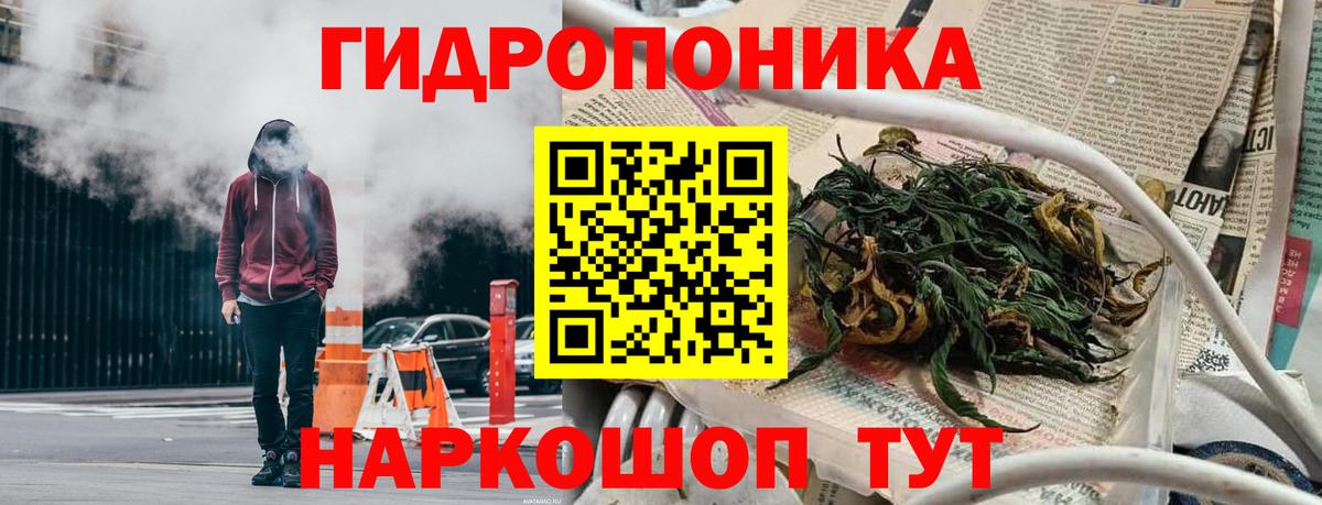Шишки марихуана гибрид Карачаевск